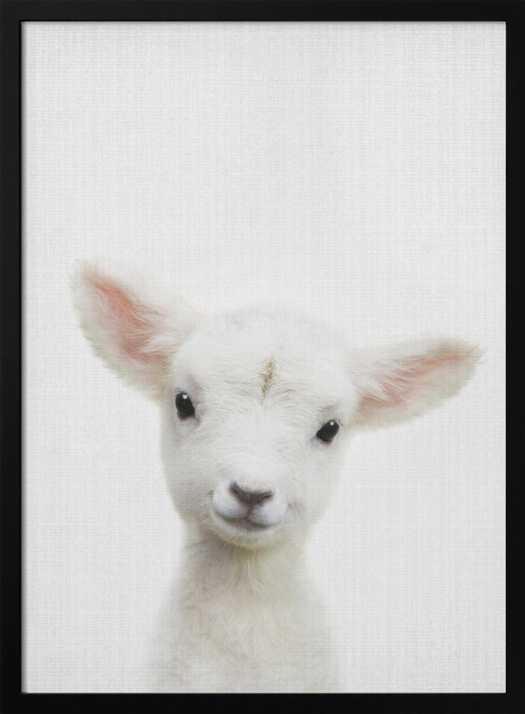 wall-art-print-canvas-poster-framed-Peekaboo Baby Sheep , By Lola Peacock-3