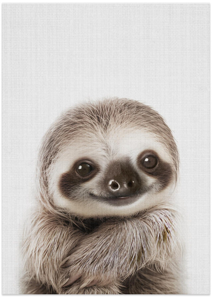 wall-art-print-canvas-poster-framed-Peekaboo Baby Sloth , By Lola Peacock-1