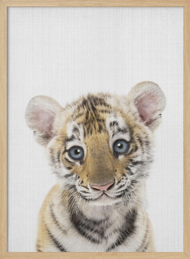 wall-art-print-canvas-poster-framed-Peekaboo Baby Tiger , By Lola Peacock-4