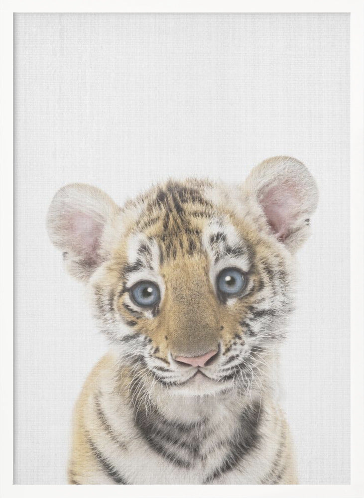 wall-art-print-canvas-poster-framed-Peekaboo Baby Tiger , By Lola Peacock-5