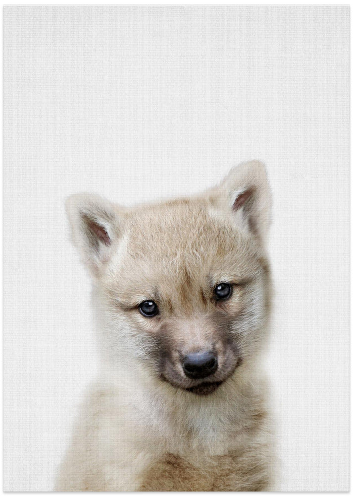 wall-art-print-canvas-poster-framed-Peekaboo Baby Wolf , By Lola Peacock-1