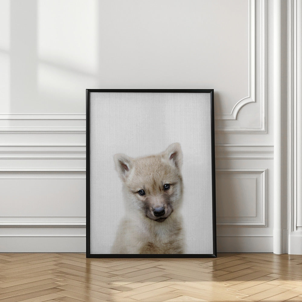 wall-art-print-canvas-poster-framed-Peekaboo Baby Wolf , By Lola Peacock-2