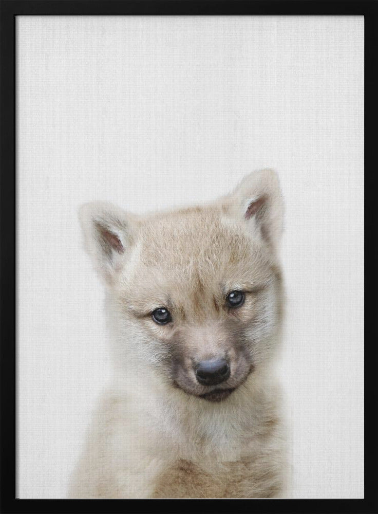 wall-art-print-canvas-poster-framed-Peekaboo Baby Wolf , By Lola Peacock-3