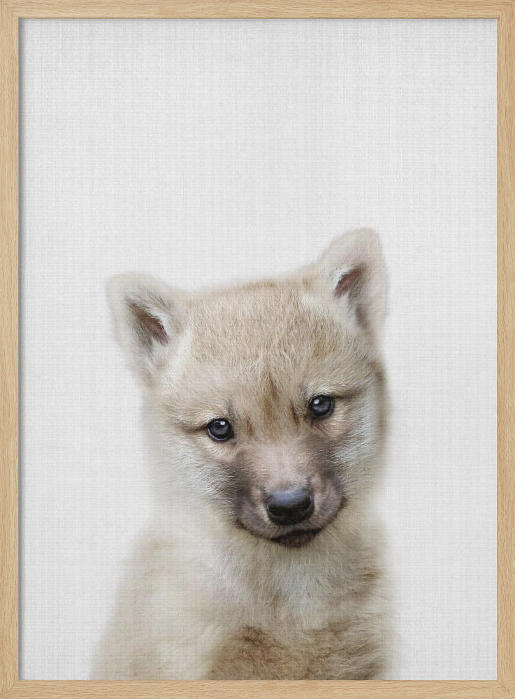 wall-art-print-canvas-poster-framed-Peekaboo Baby Wolf , By Lola Peacock-4