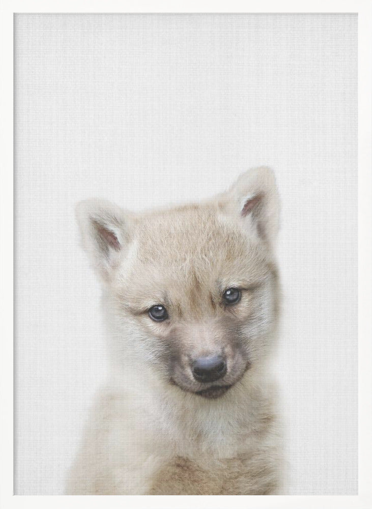 wall-art-print-canvas-poster-framed-Peekaboo Baby Wolf , By Lola Peacock-5