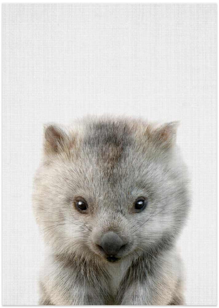 wall-art-print-canvas-poster-framed-Peekaboo Baby Wombat , By Lola Peacock-1