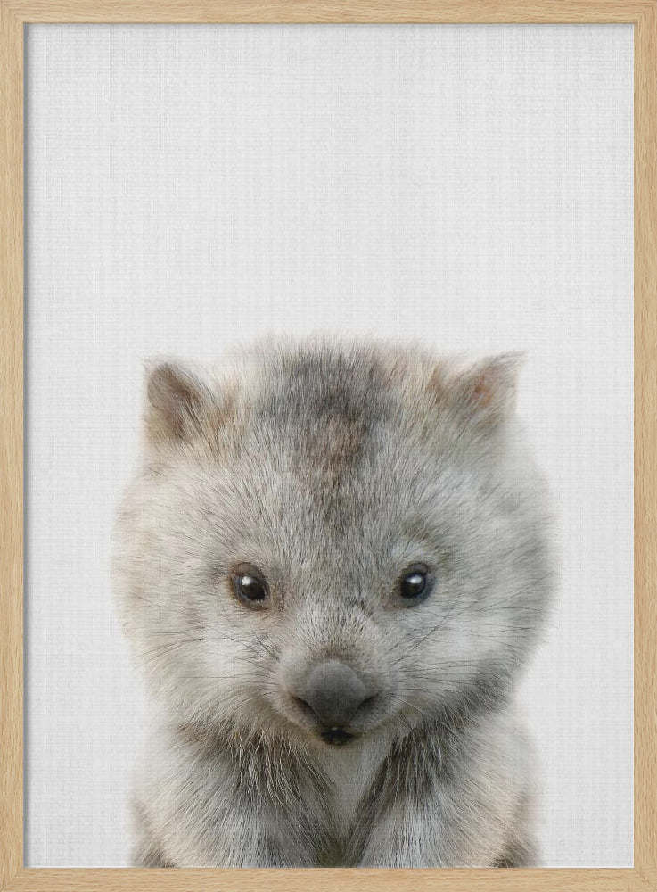 wall-art-print-canvas-poster-framed-Peekaboo Baby Wombat , By Lola Peacock-4