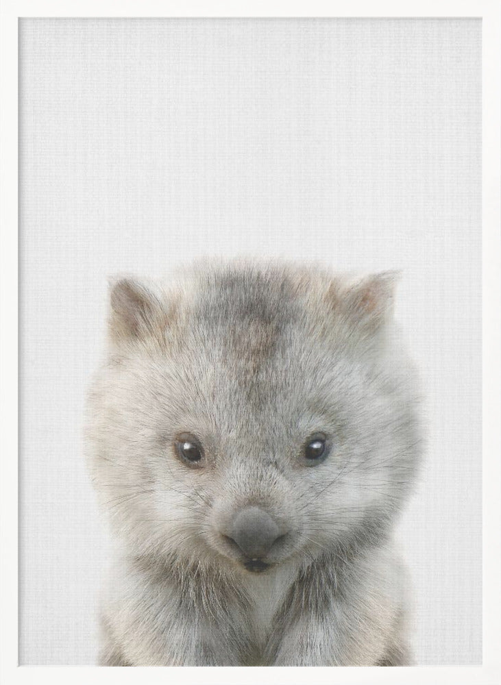 wall-art-print-canvas-poster-framed-Peekaboo Baby Wombat , By Lola Peacock-5