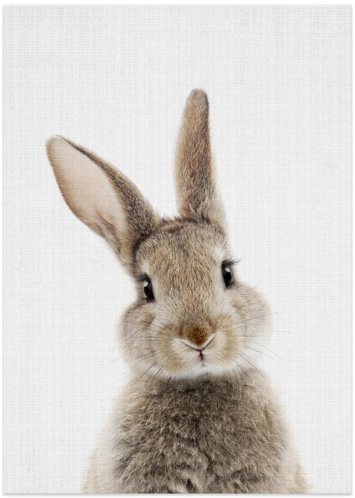 wall-art-print-canvas-poster-framed-Peekaboo Bunny , By Lola Peacock-1