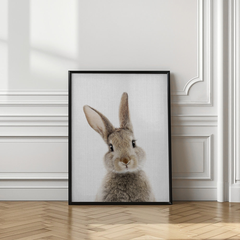 wall-art-print-canvas-poster-framed-Peekaboo Bunny , By Lola Peacock-2