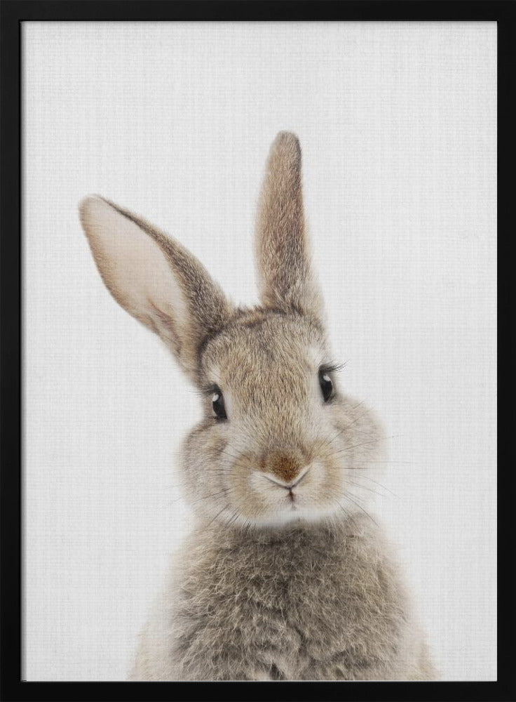 wall-art-print-canvas-poster-framed-Peekaboo Bunny , By Lola Peacock-3