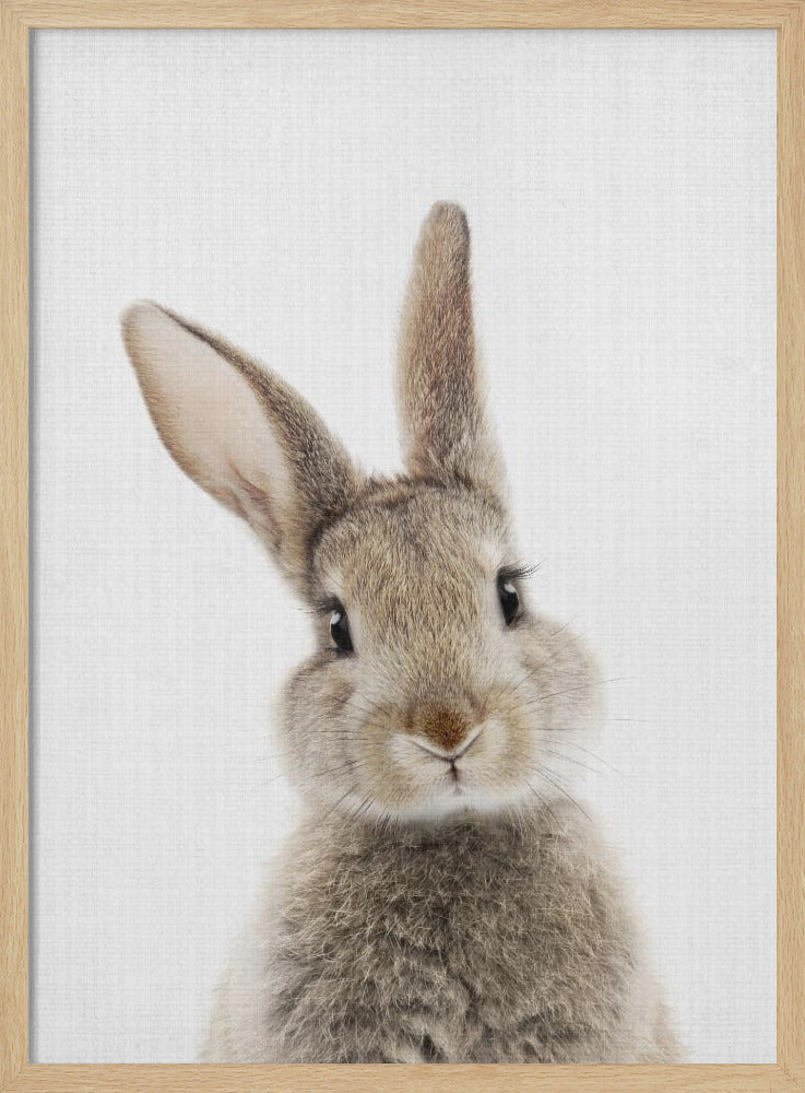 wall-art-print-canvas-poster-framed-Peekaboo Bunny , By Lola Peacock-4