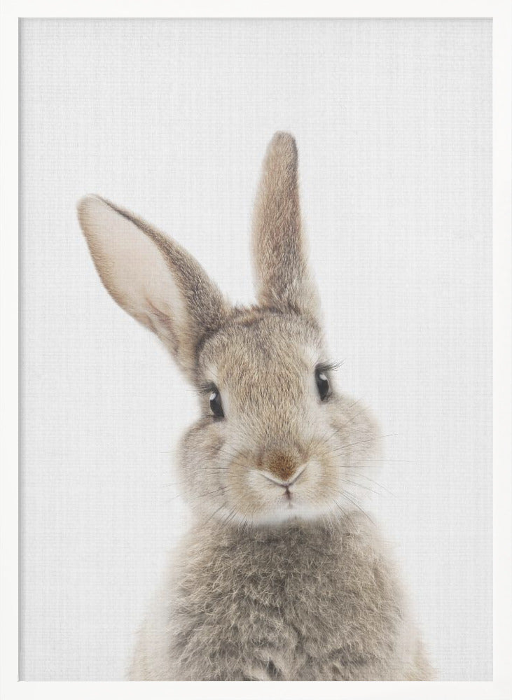 wall-art-print-canvas-poster-framed-Peekaboo Bunny , By Lola Peacock-5