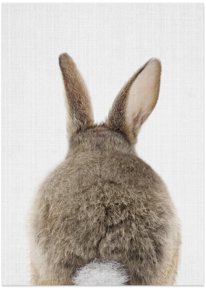 wall-art-print-canvas-poster-framed-Peekaboo Bunny Tail , By Lola Peacock-1