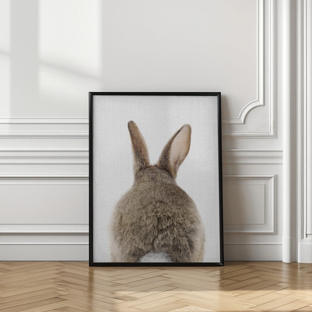 wall-art-print-canvas-poster-framed-Peekaboo Bunny Tail , By Lola Peacock-2