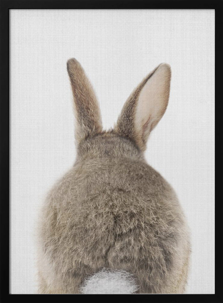 wall-art-print-canvas-poster-framed-Peekaboo Bunny Tail , By Lola Peacock-3