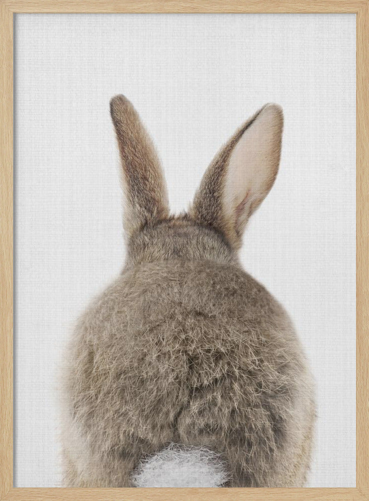 wall-art-print-canvas-poster-framed-Peekaboo Bunny Tail , By Lola Peacock-4