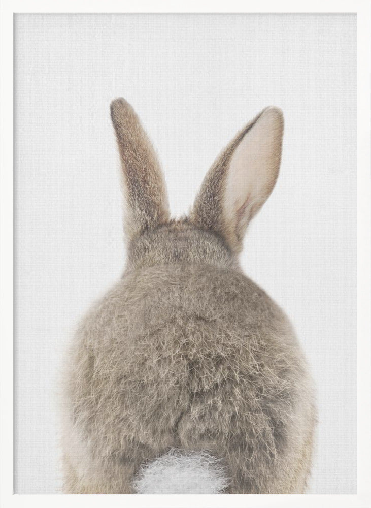 wall-art-print-canvas-poster-framed-Peekaboo Bunny Tail , By Lola Peacock-5