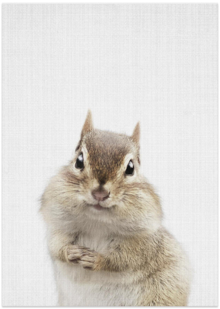 wall-art-print-canvas-poster-framed-Peekaboo Chipmunk , By Lola Peacock-1