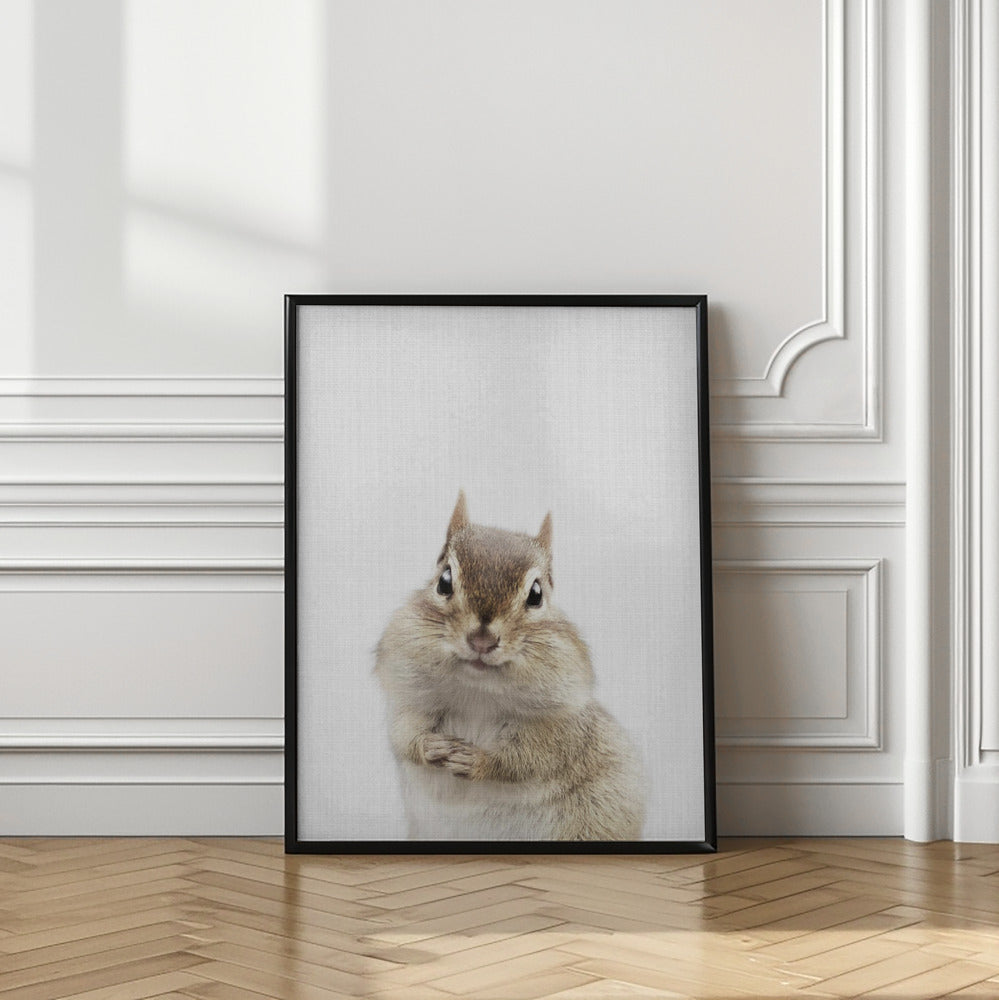 wall-art-print-canvas-poster-framed-Peekaboo Chipmunk , By Lola Peacock-2