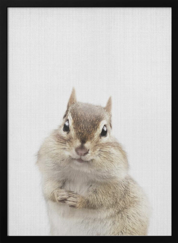 wall-art-print-canvas-poster-framed-Peekaboo Chipmunk , By Lola Peacock-3