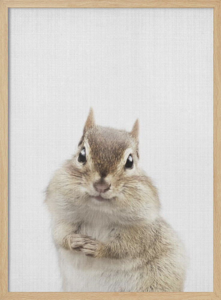 wall-art-print-canvas-poster-framed-Peekaboo Chipmunk , By Lola Peacock-4