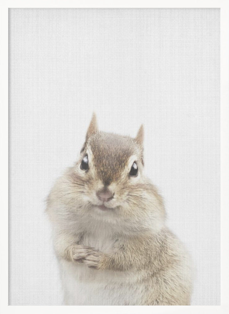 wall-art-print-canvas-poster-framed-Peekaboo Chipmunk , By Lola Peacock-5