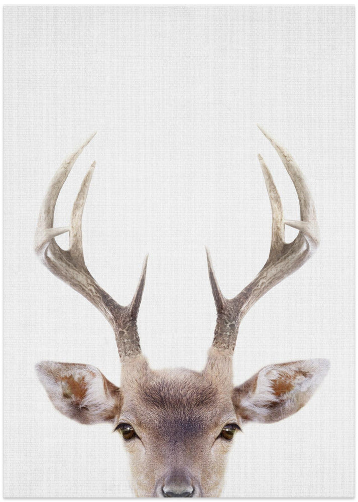 wall-art-print-canvas-poster-framed-Peekaboo Deer , By Lola Peacock-1