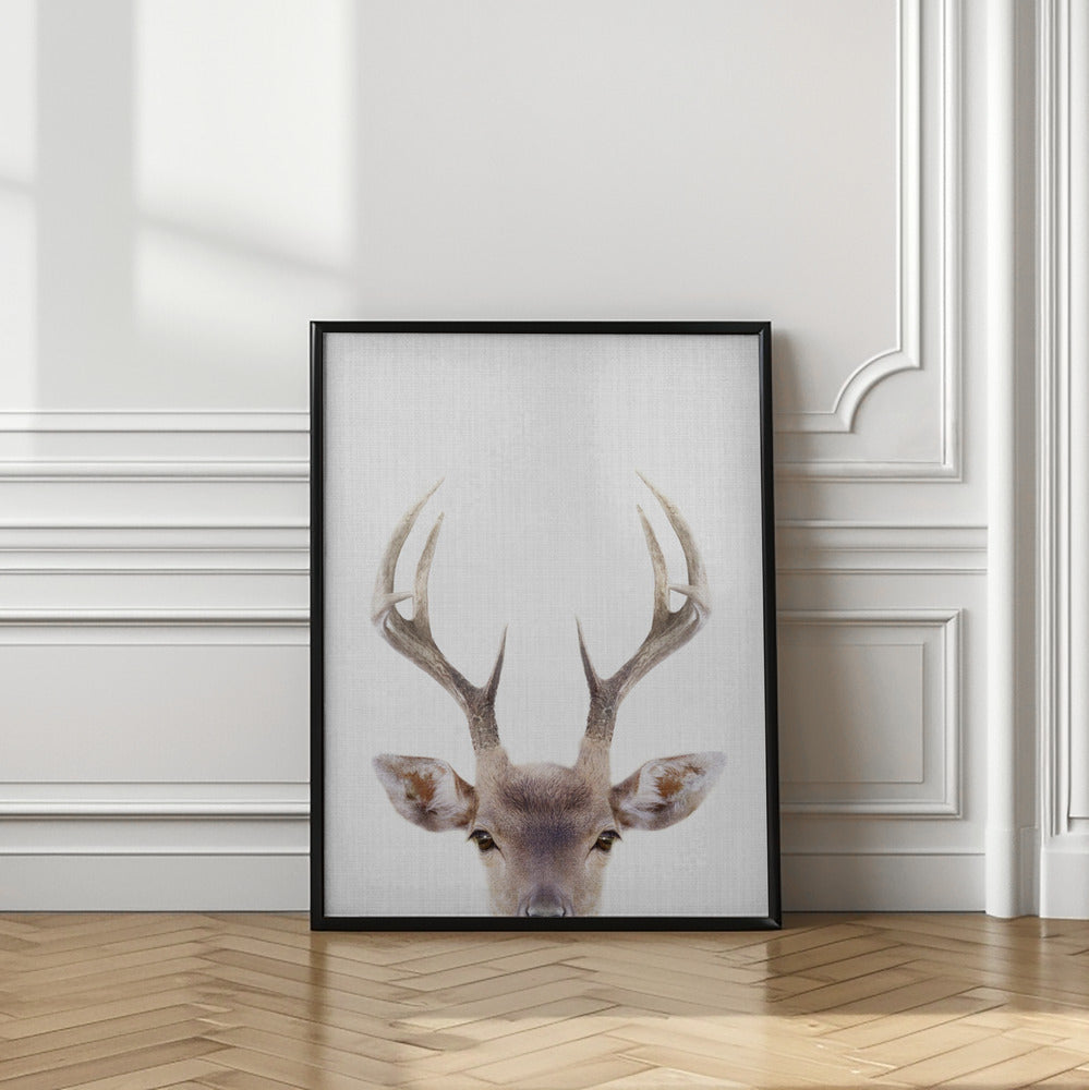 wall-art-print-canvas-poster-framed-Peekaboo Deer , By Lola Peacock-2