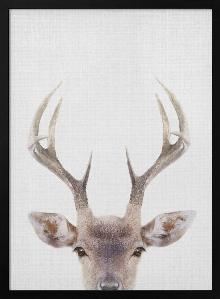 wall-art-print-canvas-poster-framed-Peekaboo Deer , By Lola Peacock-3