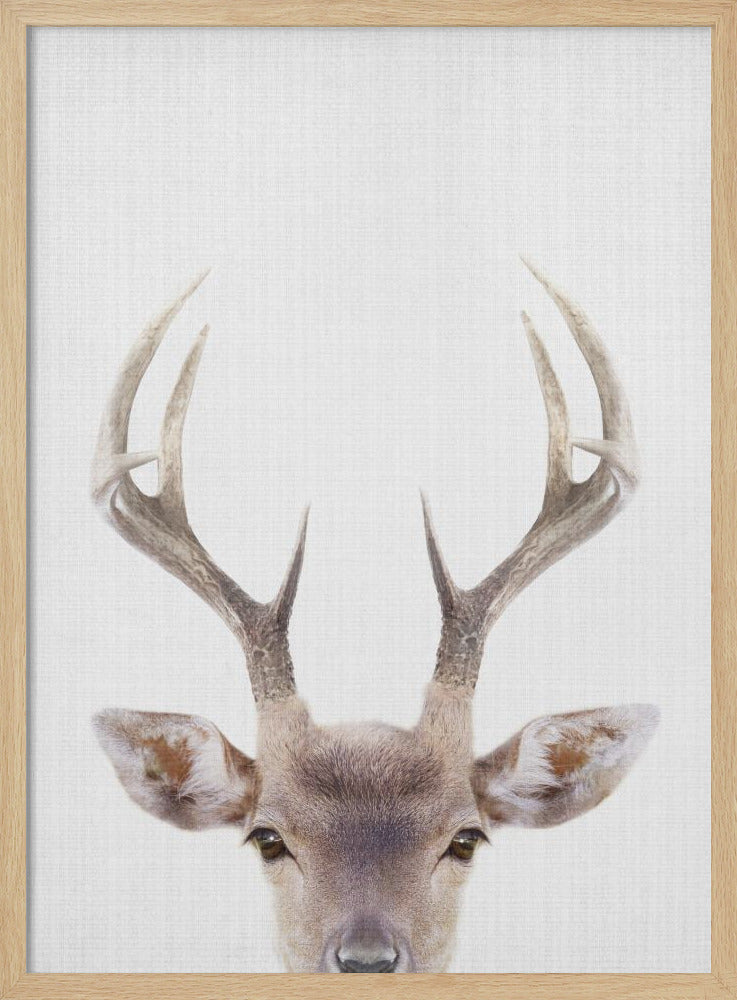 wall-art-print-canvas-poster-framed-Peekaboo Deer , By Lola Peacock-4