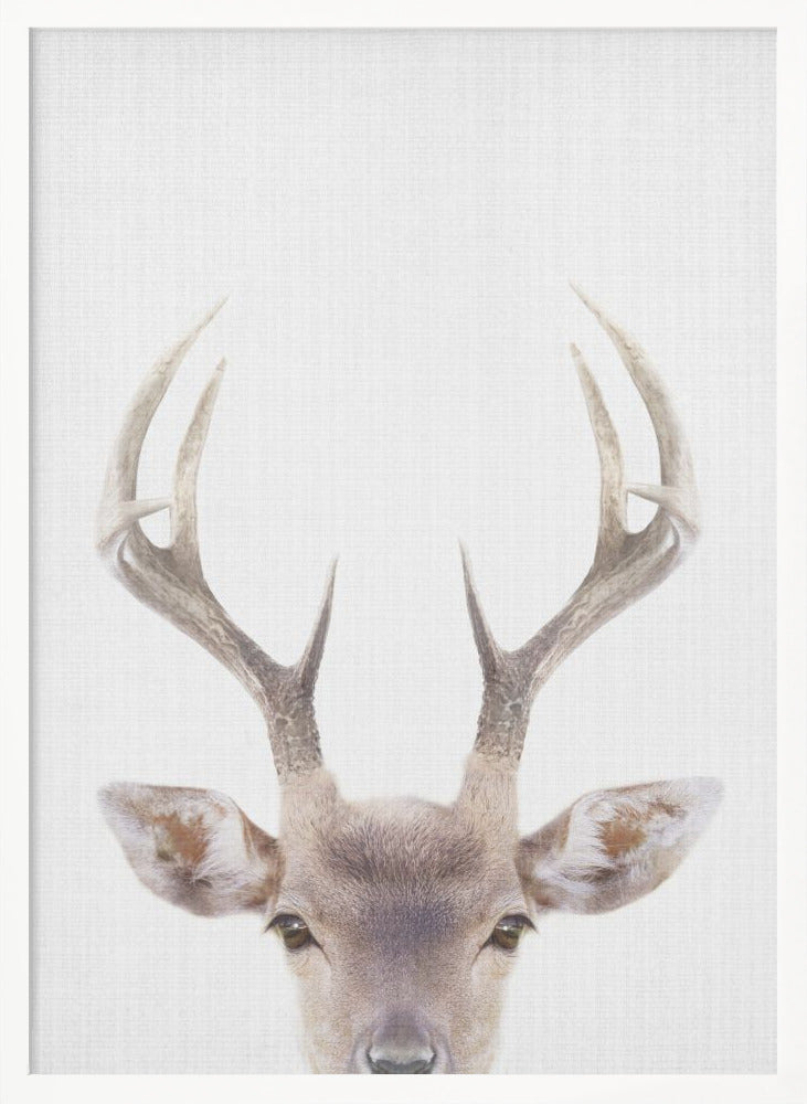 wall-art-print-canvas-poster-framed-Peekaboo Deer , By Lola Peacock-5