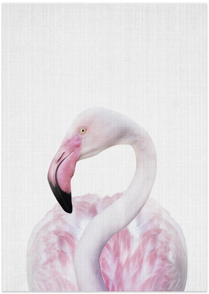 wall-art-print-canvas-poster-framed-Peekaboo Flamingo , By Lola Peacock-1