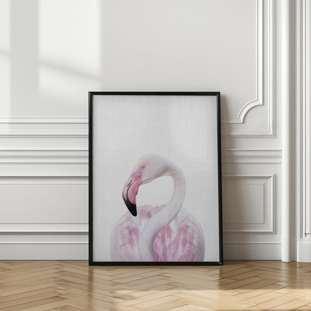 wall-art-print-canvas-poster-framed-Peekaboo Flamingo , By Lola Peacock-2