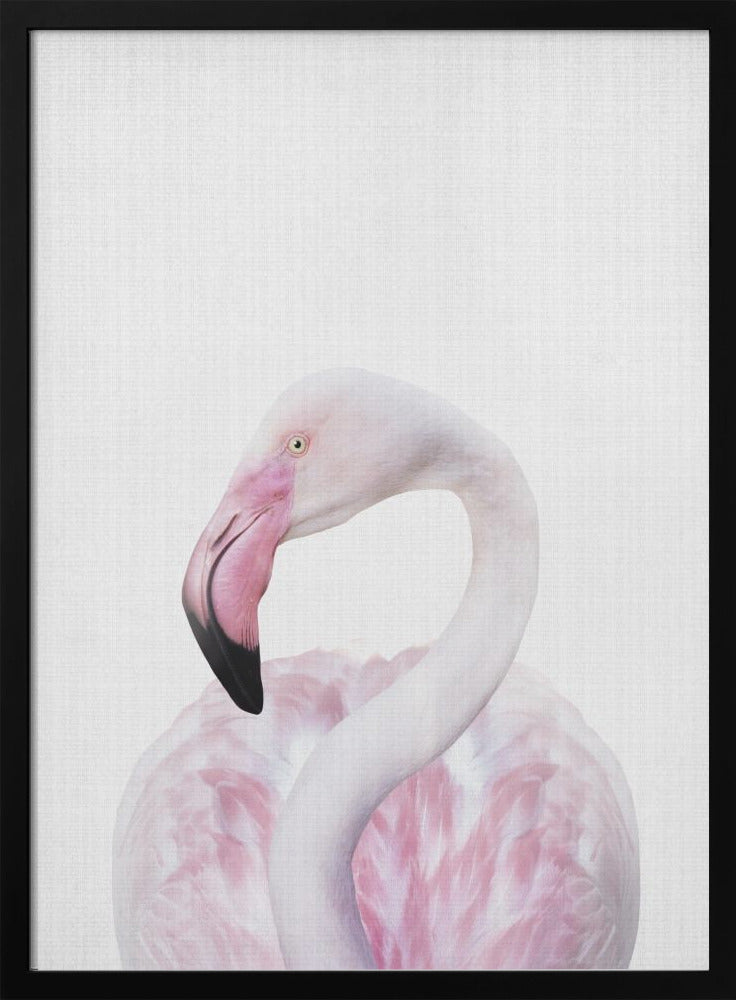 wall-art-print-canvas-poster-framed-Peekaboo Flamingo , By Lola Peacock-3