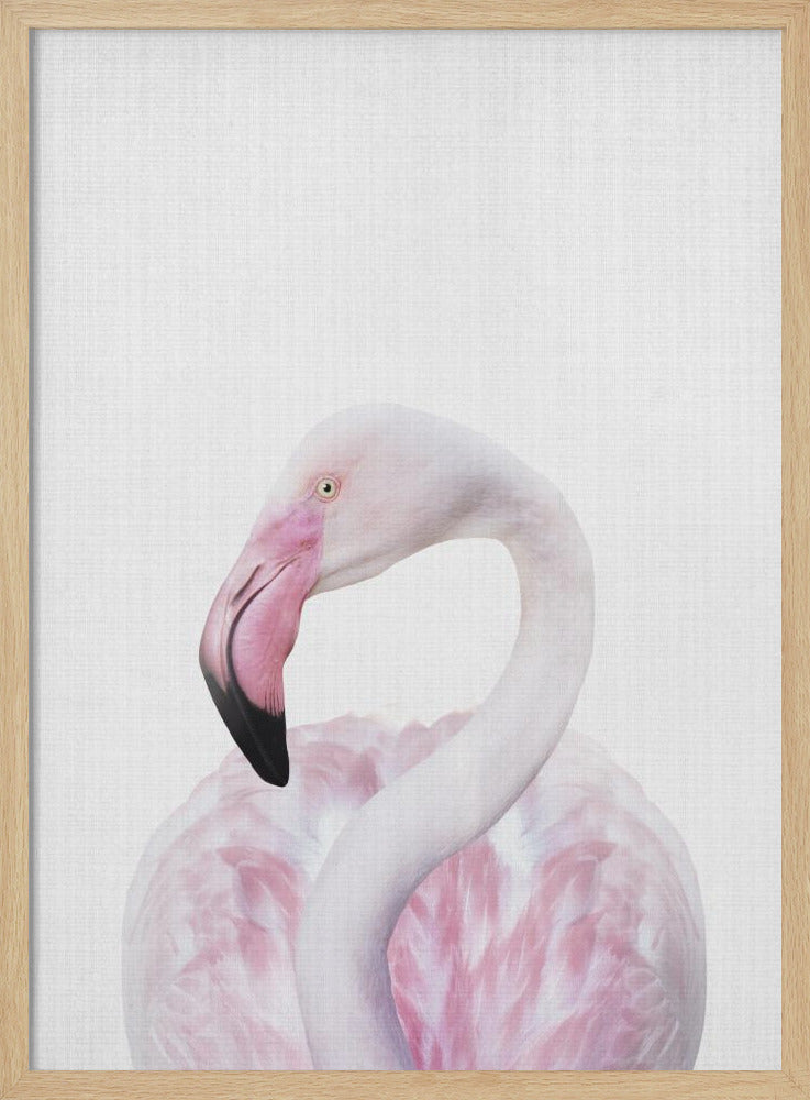 wall-art-print-canvas-poster-framed-Peekaboo Flamingo , By Lola Peacock-4