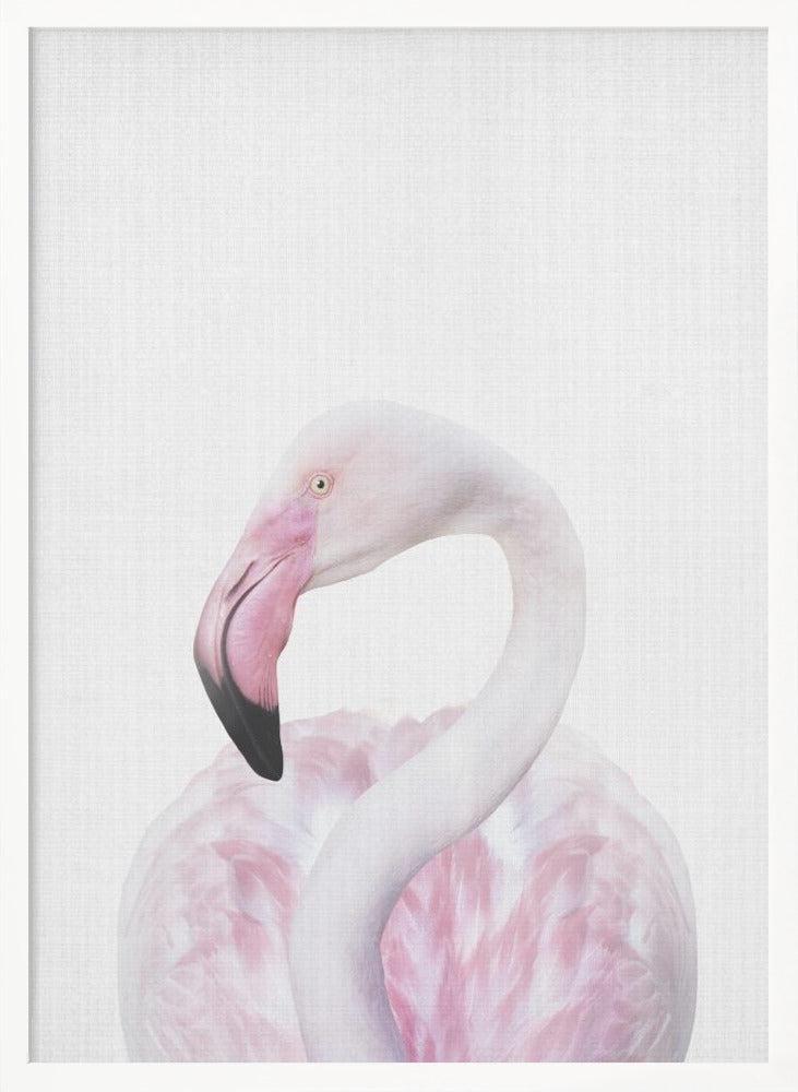 wall-art-print-canvas-poster-framed-Peekaboo Flamingo , By Lola Peacock-5