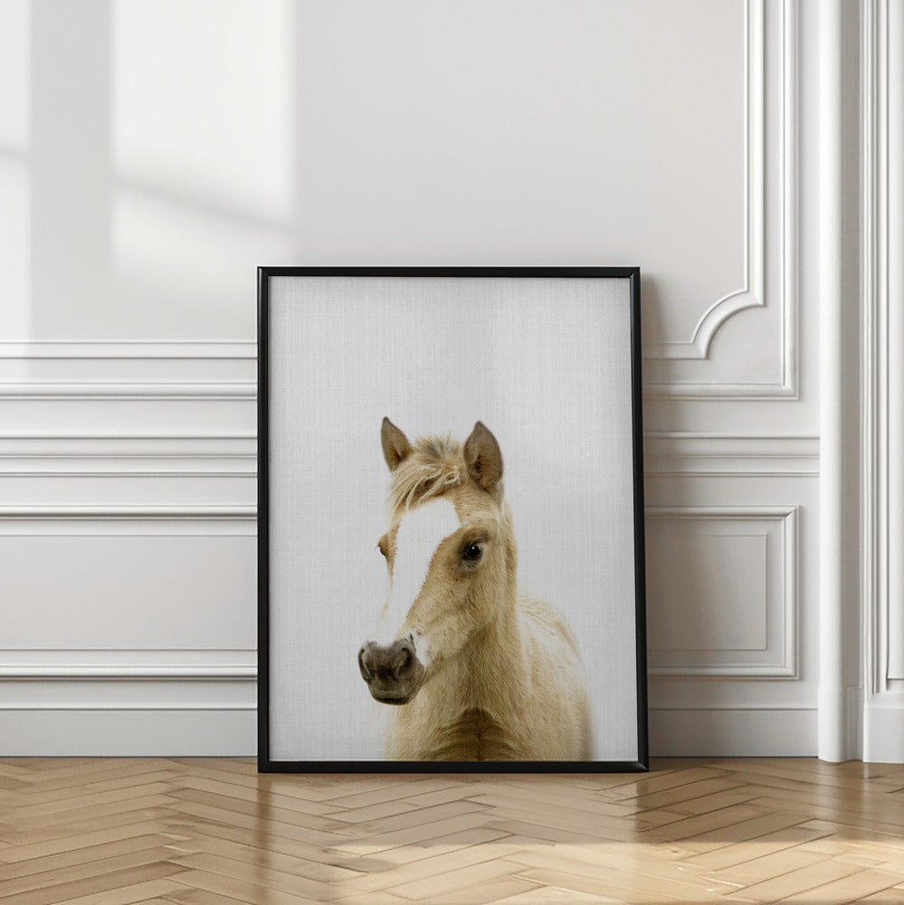 wall-art-print-canvas-poster-framed-Peekaboo Foal , By Lola Peacock-2