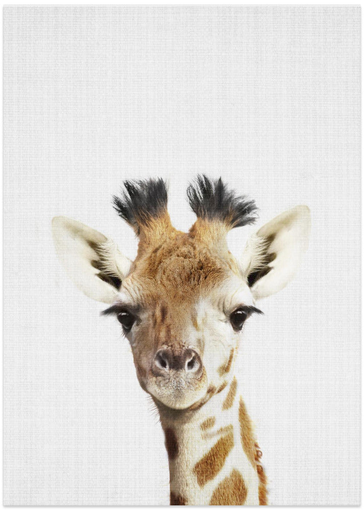 wall-art-print-canvas-poster-framed-Peekaboo Giraffe , By Lola Peacock-1