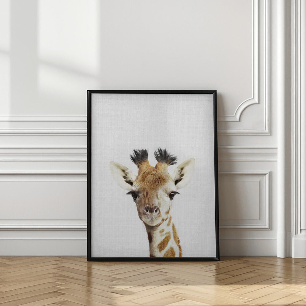 wall-art-print-canvas-poster-framed-Peekaboo Giraffe , By Lola Peacock-2