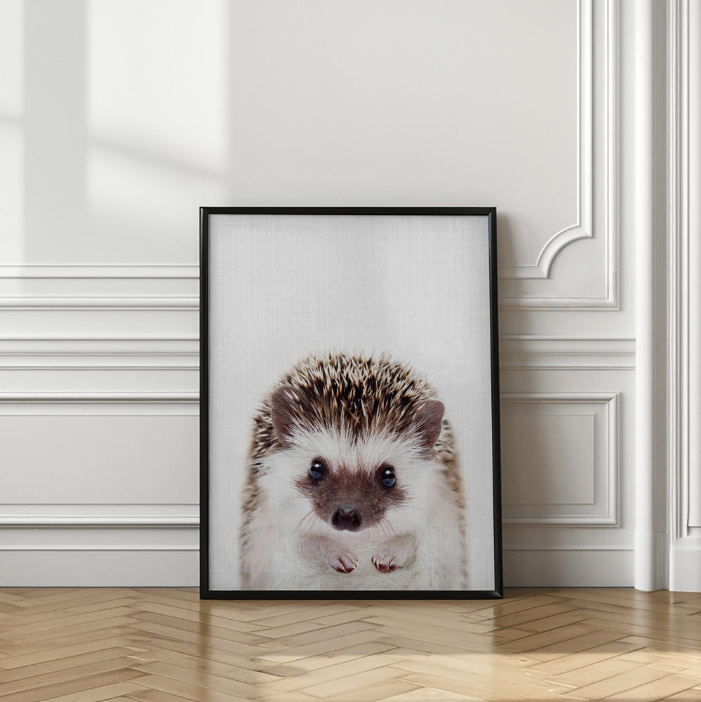 wall-art-print-canvas-poster-framed-Peekaboo Hedgehog , By Lola Peacock-2