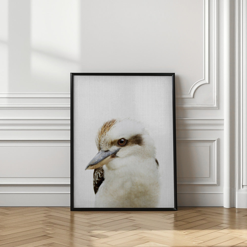 wall-art-print-canvas-poster-framed-Peekaboo Kookaburra , By Lola Peacock-2