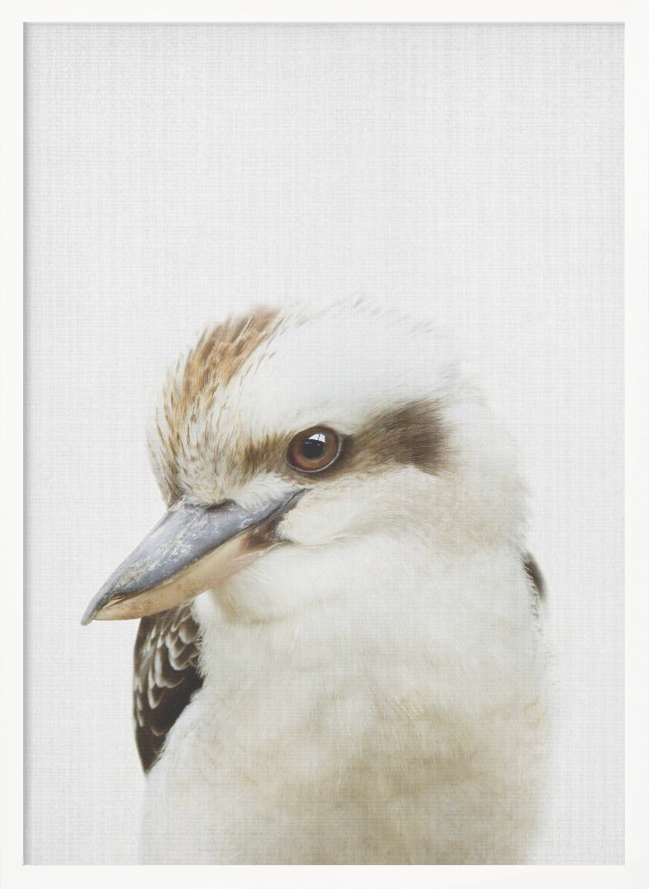 wall-art-print-canvas-poster-framed-Peekaboo Kookaburra , By Lola Peacock-5