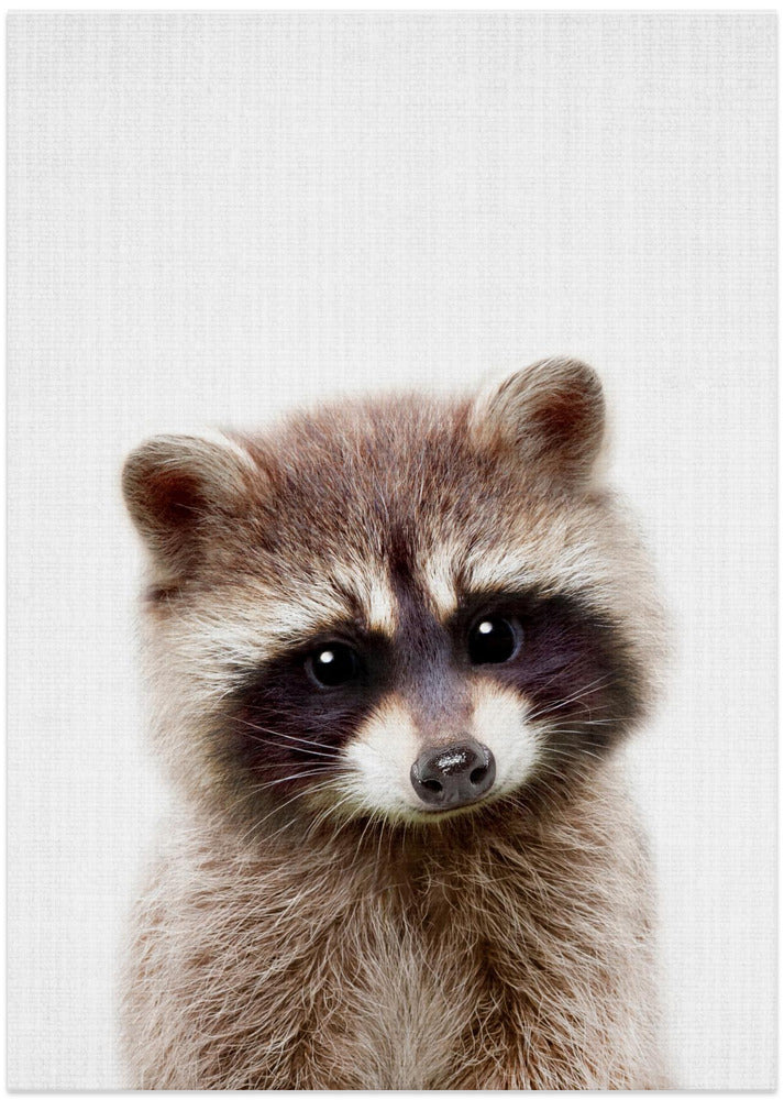 wall-art-print-canvas-poster-framed-Peekaboo Raccoon , By Lola Peacock-1