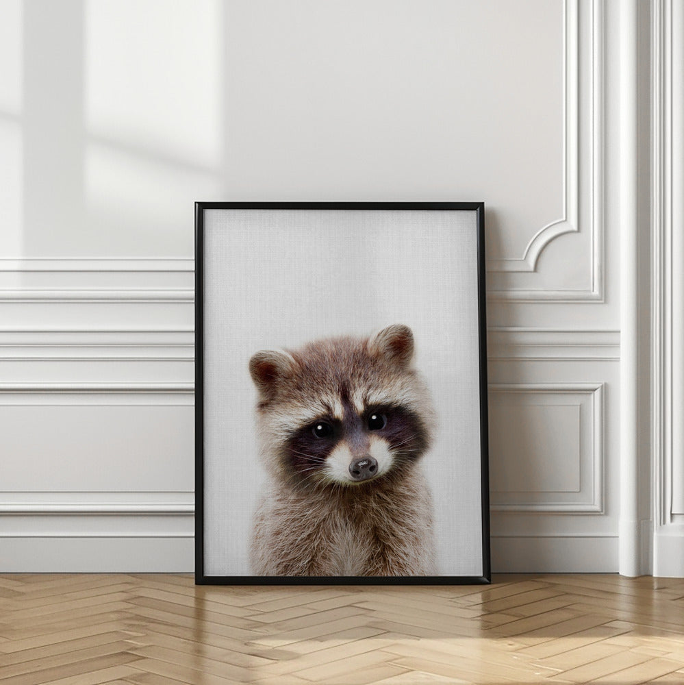 wall-art-print-canvas-poster-framed-Peekaboo Raccoon , By Lola Peacock-2