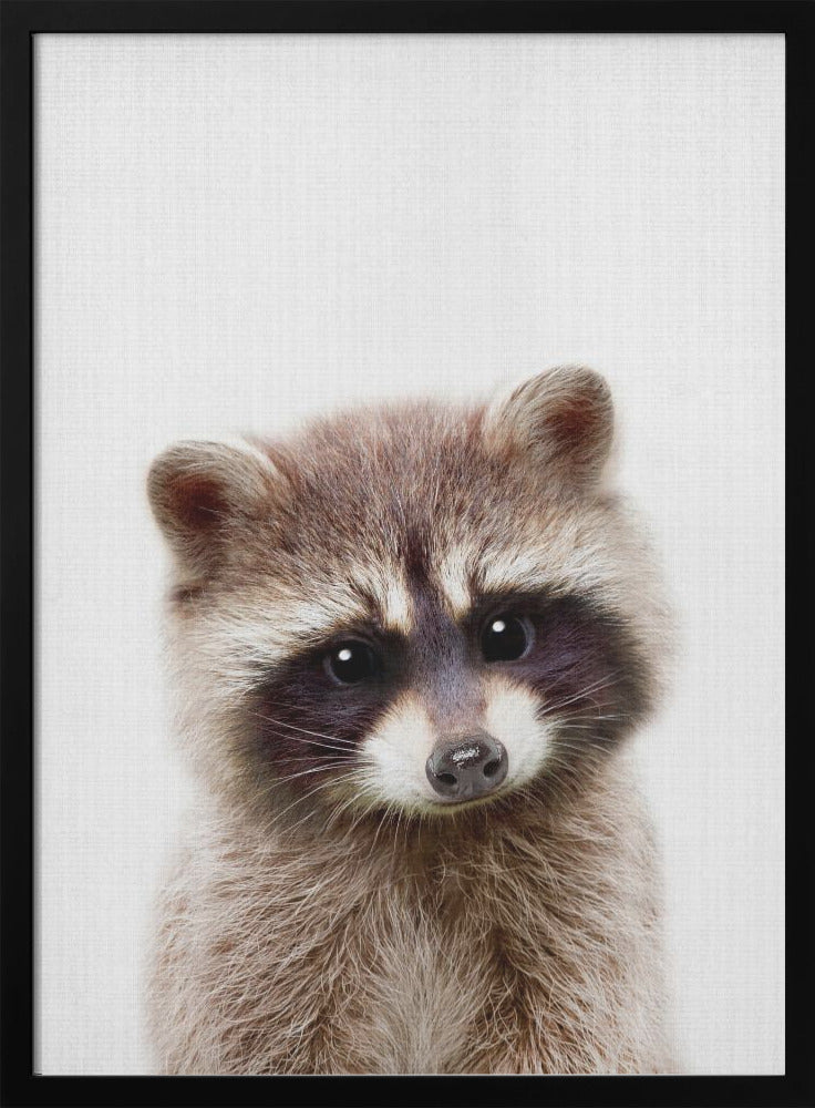 wall-art-print-canvas-poster-framed-Peekaboo Raccoon , By Lola Peacock-3