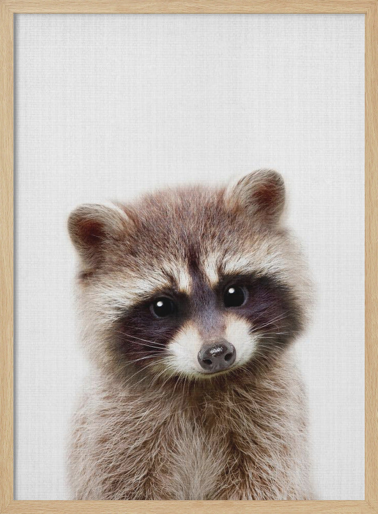 wall-art-print-canvas-poster-framed-Peekaboo Raccoon , By Lola Peacock-4