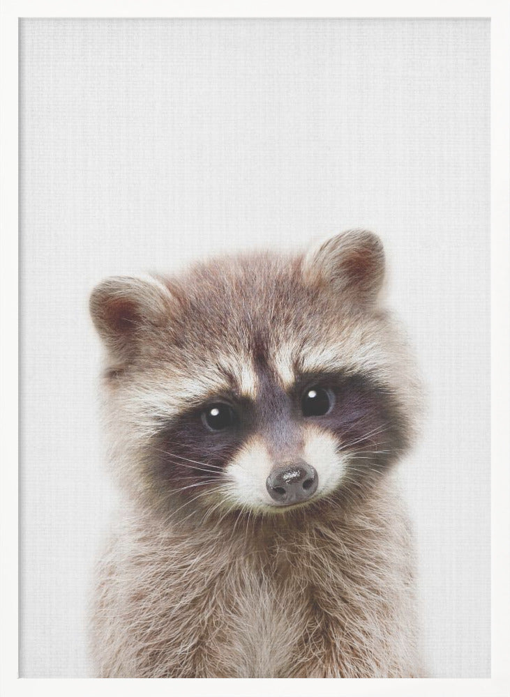 wall-art-print-canvas-poster-framed-Peekaboo Raccoon , By Lola Peacock-5