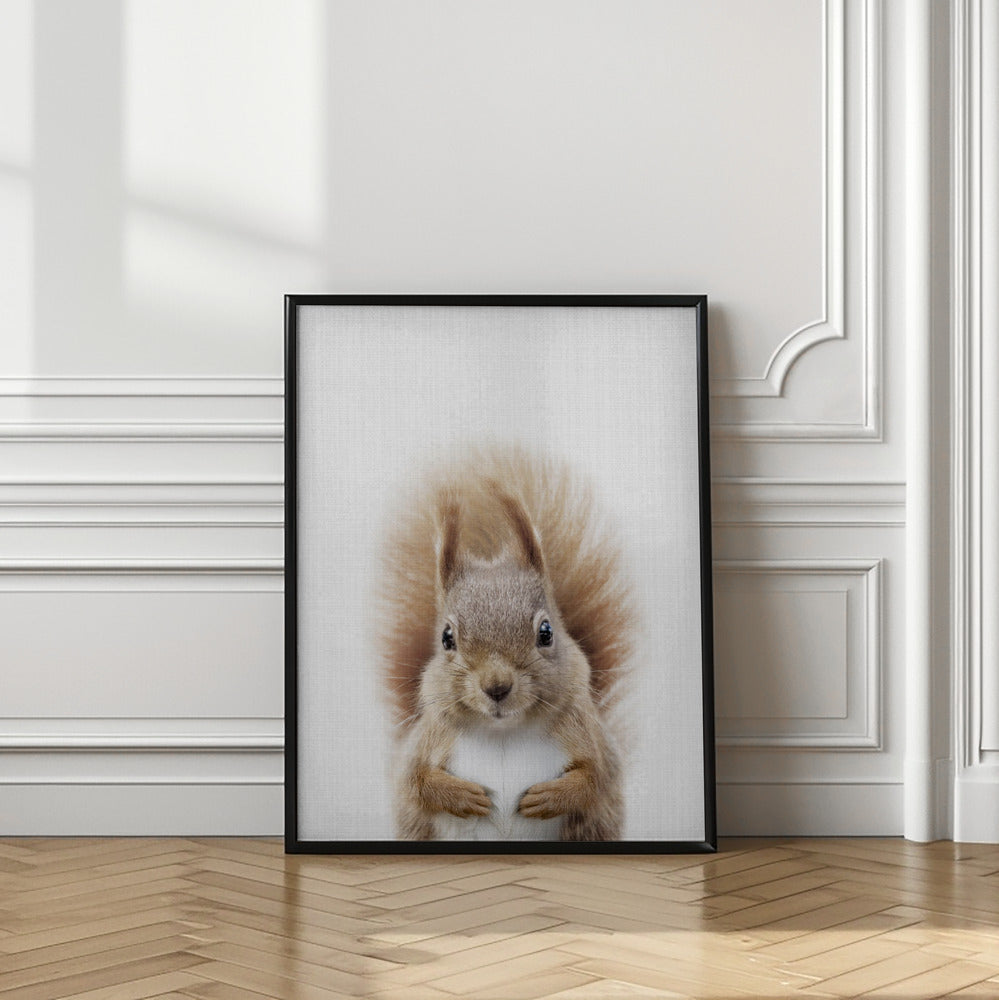 wall-art-print-canvas-poster-framed-Peekaboo Squirrel , By Lola Peacock-2