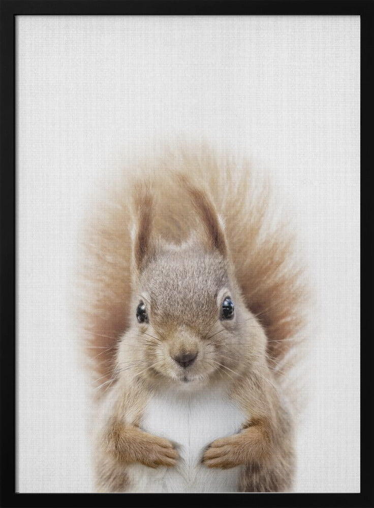 wall-art-print-canvas-poster-framed-Peekaboo Squirrel , By Lola Peacock-3